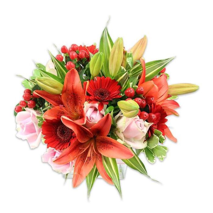 Against a spotless white surface this densely packed bouquet presents a confident, joyful statement in warm reds and soft pinks, the kind of arrangement a seasoned florist in the London Borough of Havering would craft for special occasions. The focal interest comes from several large Asiatic lilies in a glowing orange-red hue, some petals curved back to reveal darker speckling and prominent stamens, while a handful of unopened buds promise a gentle progression of blooms over coming days. Interspersed are vivid red Gerbera daisies, their many narrow petals forming sunburst shapes around contrasting darker centers - a bold, cheerful note. Pale blush roses appear throughout in mixed stages, from knotted buds to open rosettes, offering a soft, romantic texture that balances the lilies' drama. Bright clusters of red hypericum berries sit like little ornaments between blossoms, adding glossy, spherical contrast against smoother petals. The greenery is abundant and varied: broad, deep-green leaves create a solid visual backdrop, and a few variegated leaves with lighter veins introduce airy highlights and depth. The overall composition has a tactile richness - satiny roses, papery lilies, crisp foliage and shiny berries - and the clean lighting accentuates these textures while suggesting a faint sweet-spicy lily perfume. I picture this bouquet brightening a mantel in Elm Park, a bedside table near South Hornchurch, or a small business on the local high street, where the arrangement communicates warmth, celebration and thoughtful craftsmanship.